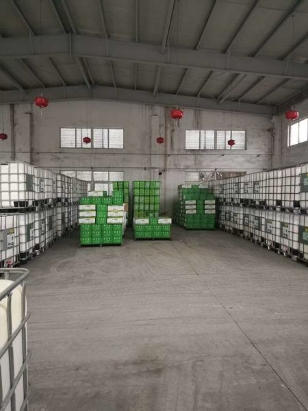 Chiny Shenzhen Taiqiang Investment Holding Co., Ltd profil firmy